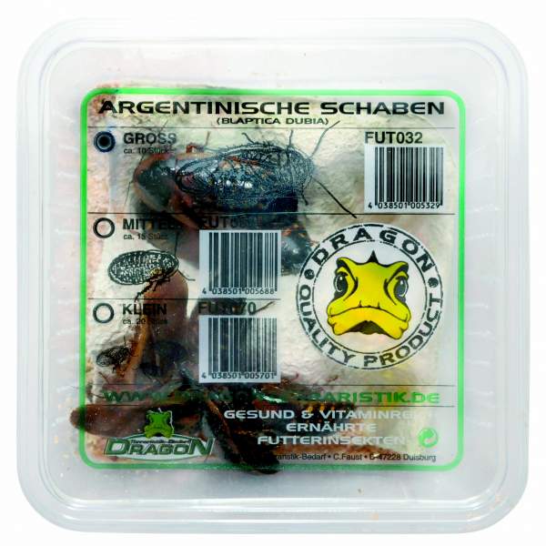 Argentinische Schaben